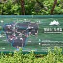 팔공산녹색길 숲길 1코스 이미지