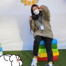 겸재작은도서관 산책로 이미지