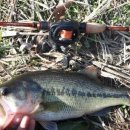 대교로2L 이미지