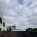 달시플러스 이미지