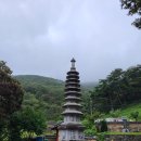 영천 봉림사 영산회상도 및 복장유물 | 비 오는 날 영천 봉림사(鳳林寺)
