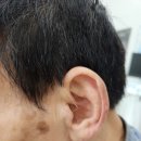세계로보청기전주점