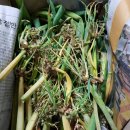 삼동농장 이미지