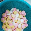 보람유치원 이미지