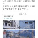 삿뽀로 티스토리