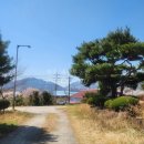 영주땅공인중개사사무소 이미지