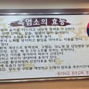 가마솥개성흑염소탕 이미지