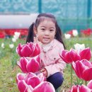 삼학도 중앙공원 이미지