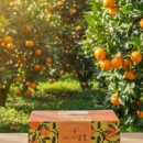 장폴 폴댄스 이미지