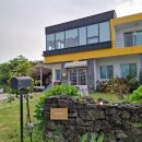 성산읍 신산포구 | [ 제주 성산 ] 온평포구 대만족 숙소 내돈내산 추천 _ 꽃하루방게스트하우스