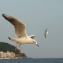 사랑방 공인중개사사무소 이미지