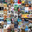 곰브 | 블로그 인기 포스팅만 모아: 매일 최신의 인기 블로그 포스팅을 한곳에서!! (2025.07.24 12:16)