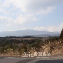 유한회사신원 이미지