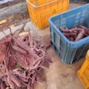 귀천농장 이미지