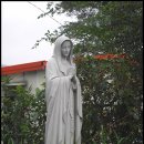 한티농장 이미지