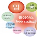 통증완화;근육통완화