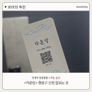 자운당 | ​[서울 중랑구 신점] 답답한 마음속 해답을 찾은 곳, 갓 신내림 받은 애동제자 '자운당' 솔직 후기