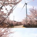 창포곶펜션 이미지