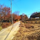 본당리마을회관 이미지