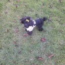 안성CGV(아양지구입구) | 안성 한우 맛집 베스트 TOP 10 추천