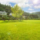 토마토펜션 이미지