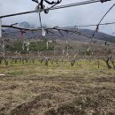 백양농장 이미지