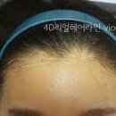 비올라(violla)