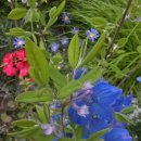 문래동 꽃밭정원 이미지