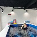 제이제이스위밍아카데미 이미지