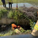 정비하다 이미지