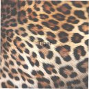 진동미소 이미지