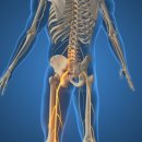 담비한의원 이미지