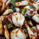 양파김치 담는 법 양파김치 담그는법 햇양파 요리 만들기 만드는 법 이미지