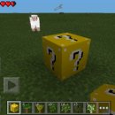 럭키포켓 이미지