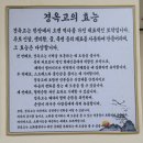 용진 | 전북완주맛집 용진 경옥고추어탕 다녀온 후기