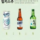 혼술 이미지