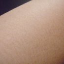 아쿠아후레쉬 Daum카페