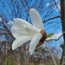 에이스이비인후과의원 이미지