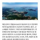 20260521(목)덕우도(용마님)1 이미지