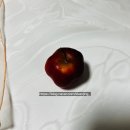 학산식품 | Wedding2. 양가 인사드리기. 식당 추천 선물 추천 인사드릴 때 이야기 주제 꿀팁까지