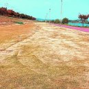 초전파크골프장 화장실 이미지