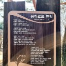 야산마을진입로 이미지