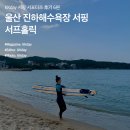 서프스토리