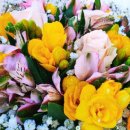 꽃집아재비 이미지