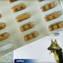 라이펙스 이미지