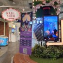 어린이스토리마술쇼 | 수원어린이공연 미리내 마술극단 매직앤조이 광교에서 본 잊지 못할 어린이마술쇼 후기