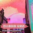 푸드코트 오아이스고메빌리지 브루클린피자 먹고 주차비 무료 오로라 쇼 감상 핑크고래 봉황 피닉스