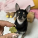 아임마인드 이미지