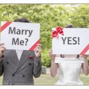 늑대와여우결혼정보 이미지