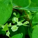 몽촌토성역 5번출구 이미지